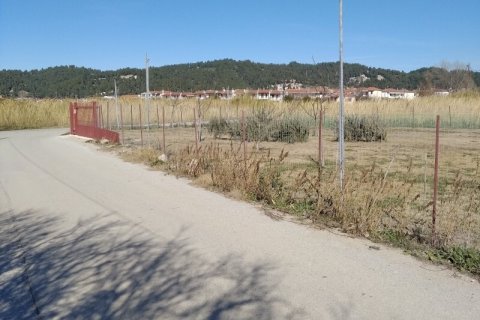 1154m² Land à Chalkidiki, Greece No. 55625 2