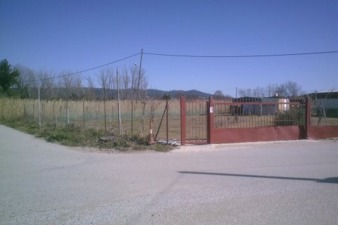 1154m² Land in Chalkidiki, Greece No. 55625 6