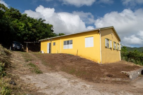 4 chambres Villa à Saint Peter's, Saint Kitts and Nevis No. 61430 2