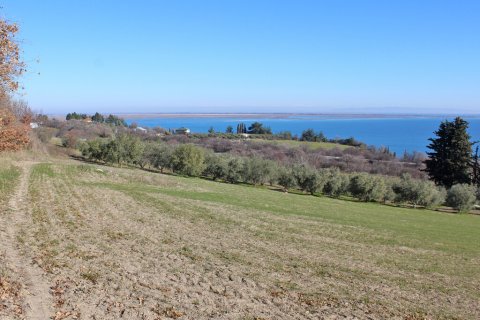 3900m² Land in Kolindros, Greece No. 56102 4