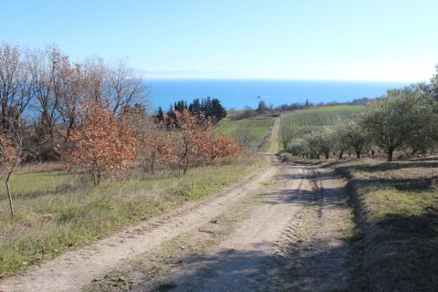 3900m² Land à Kolindros, Greece No. 56102 2