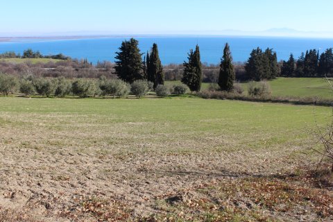 1300m² Land in Kolindros, Greece No. 56100 2