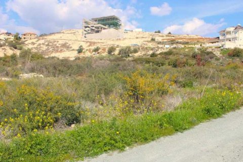 6350m² Land en Agios Tychonas, Cyprus No. 74254 6