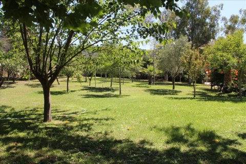 1 bedroom Villa in Corfu, Greece No. 78188 15