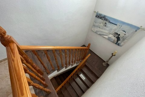 4 bedrooms Villa in Torrevieja, Spain No. 25579 10