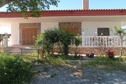 5 chambres Appartement à Mutxamel, Spain No. 25650 30