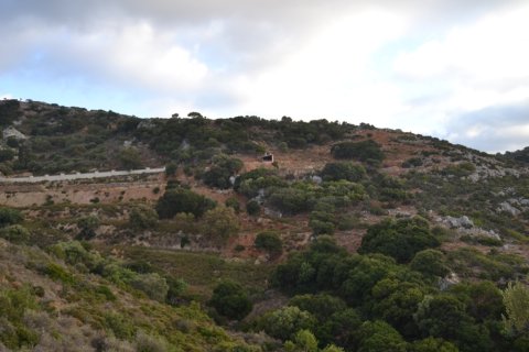 10000m² Land in Hersonissos, Greece No. 58458 2