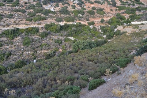 10000m² Land en Hersonissos, Greece No. 58458 7