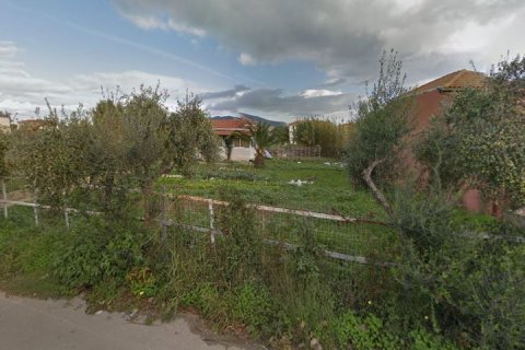 2558m² Land en Zakynthos, Greece No. 58454 2