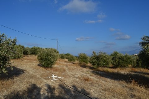 25000m² Land in Hersonissos, Greece No. 58459 6