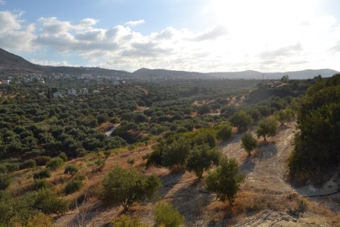 25000m² Land in Hersonissos, Greece No. 58459 3