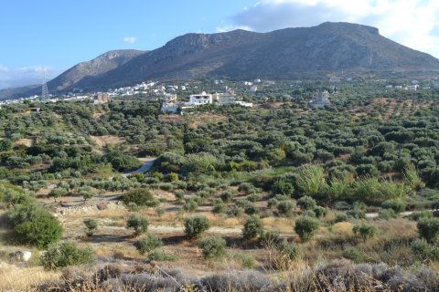 25000m² Land en Hersonissos, Greece No. 58459 1