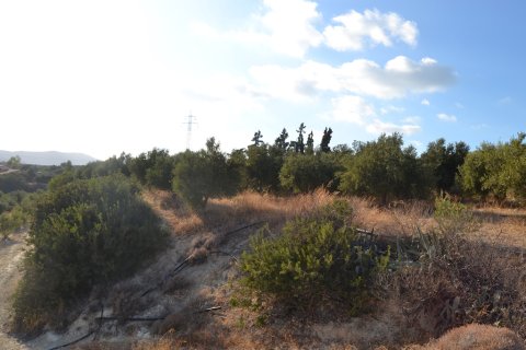 25000m² Land en Hersonissos, Greece No. 58459 5