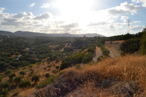 25000m² Land in Hersonissos, Greece No. 58459 4