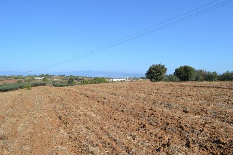 20000m² Land à Chalkidiki, Greece No. 58455 1