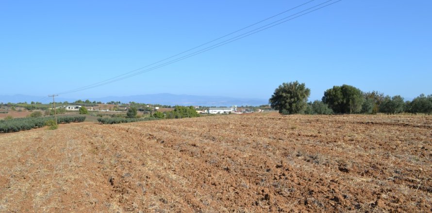 20000m² Land en Chalkidiki, Greece No. 58455