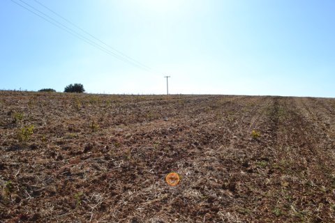 20000m² Land in Chalkidiki, Greece No. 58455 5