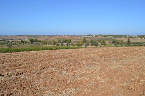 20000m² Land en Chalkidiki, Greece No. 58455 2