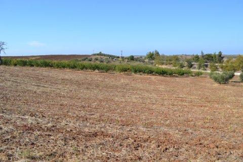 20000m² Land in Chalkidiki, Greece No. 58455 3