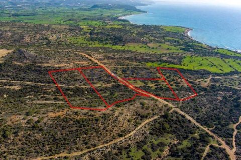 44683m² Land in Pissouri, Cyprus No. 73790 2