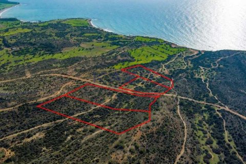 44683m² Land in Pissouri, Cyprus No. 73790 3