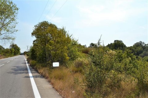 19950m² Land in Corfu, Greece No. 56991 3