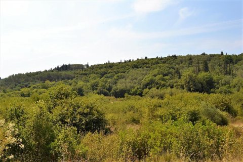 19950m² Land à Corfu, Greece No. 56991 7