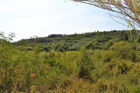 19950m² Land en Corfu, Greece No. 56991 4