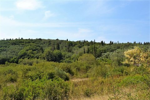 19950m² Land en Corfu, Greece No. 56991 6