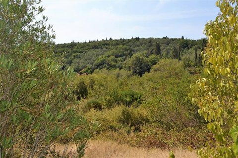 19950m² Land en Corfu, Greece No. 56991 5