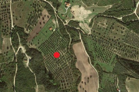 4327m² Land en Chalkidiki, Greece No. 56988 1