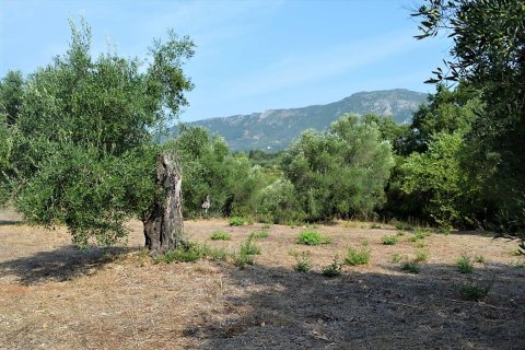 30000m² Land en Corfu, Greece No. 56992 9