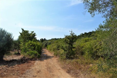 30000m² Land en Corfu, Greece No. 56992 4