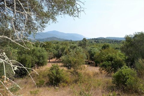 30000m² Land in Corfu, Greece No. 56992 2