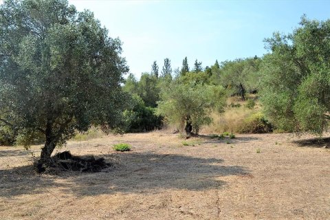 30000m² Land in Corfu, Greece No. 56992 7