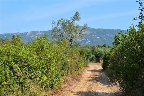 30000m² Land en Corfu, Greece No. 56992 3