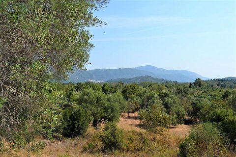 30000m² Land in Corfu, Greece No. 56992 1