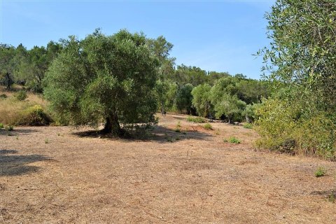 30000m² Land en Corfu, Greece No. 56992 8