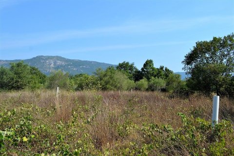 30000m² Land in Corfu, Greece No. 56992 6