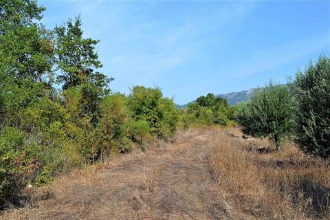 30000m² Land in Corfu, Greece No. 56992 5