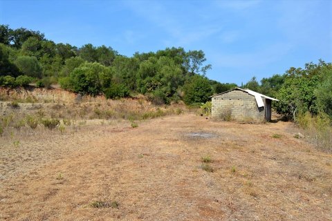 60000m² Land in Corfu, Greece No. 56994 6