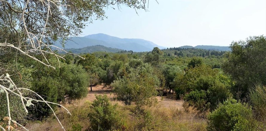 60000m² Land in Corfu, Greece No. 56994