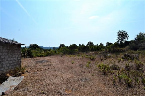 60000m² Land en Corfu, Greece No. 56994 8