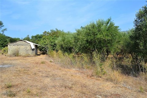 60000m² Land en Corfu, Greece No. 56994 7