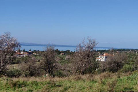 1000m² Land in Chalkidiki, Greece No. 56628 8