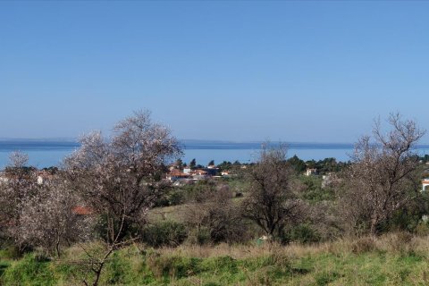 1000m² Land in Chalkidiki, Greece No. 56628 1