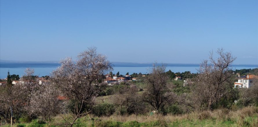 1000m² Land en Chalkidiki, Greece No. 56628