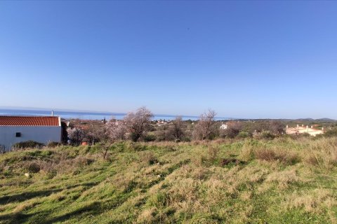 1000m² Land en Chalkidiki, Greece No. 56628 5