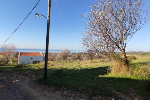 1000m² Land en Chalkidiki, Greece No. 56628 9