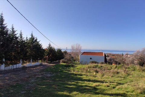 1000m² Land en Chalkidiki, Greece No. 56628 6